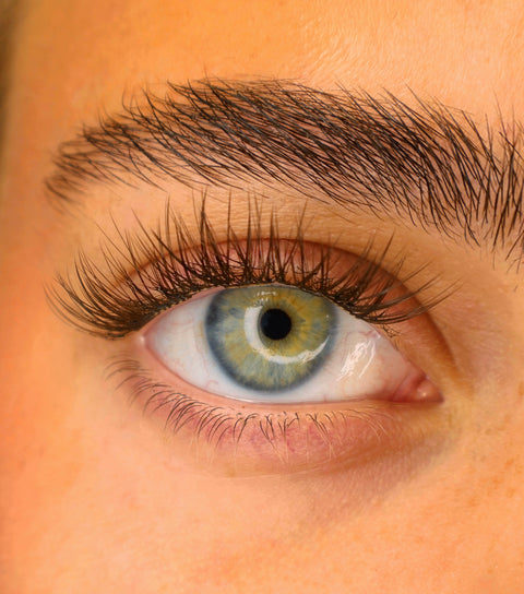 Cinnamon Kiss lösögonfransar ger en trendig whispy wet look med naturlig brun finish.